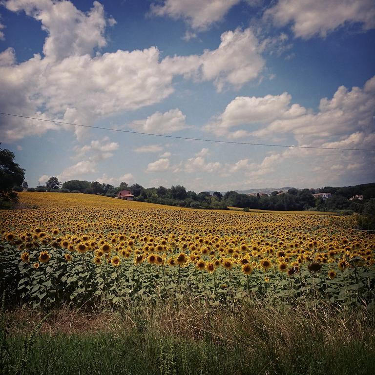 Valcastagno Relais & Residence Sirolo Kültér fotó